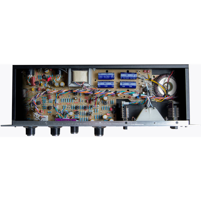 Black Lion Audio Bluey Amplifier